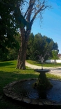 Piataci